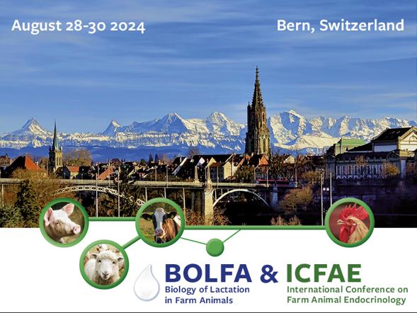 Titleimage: BOLFA & ICFAE 2024